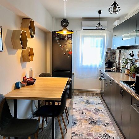 Comfortable Baia Mare Apartment Zewnętrze zdjęcie